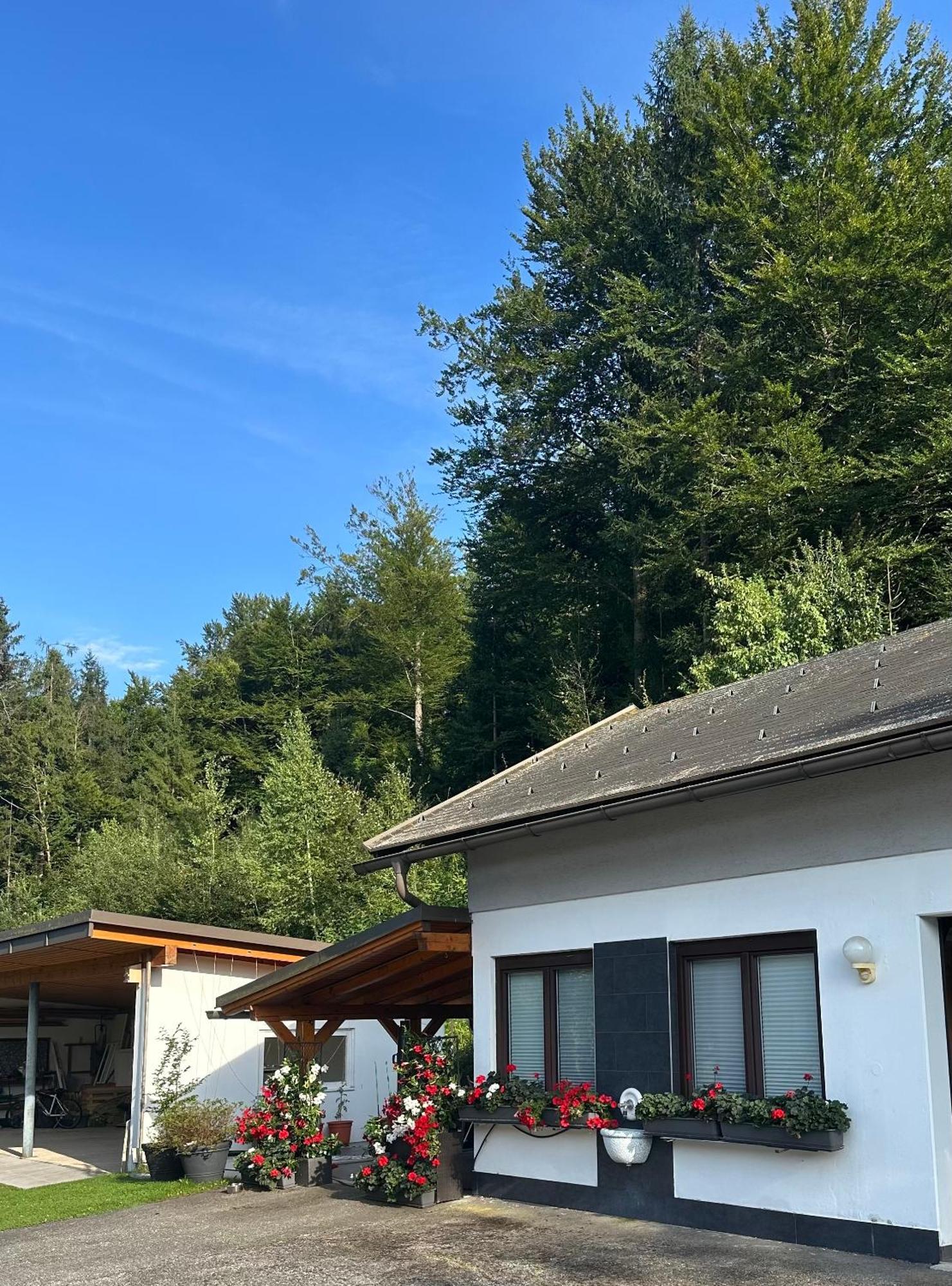 Ferienwohnung Waldblick, Faaker See Oberaichwald  Bagian luar foto